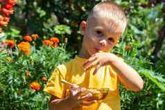 孩子吃蜂蜜花园自然