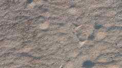 沙子干河底模糊的图像沙子模式