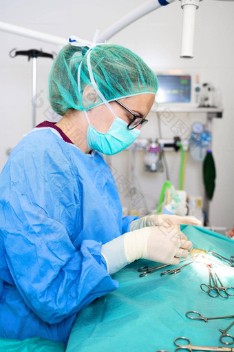 手术操作关闭外科医生手缝合伤口操作外科手术治疗概念外科医生手执行操作手术工具
