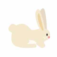 可爱的毛孤立的白色背景有趣的兔子画手