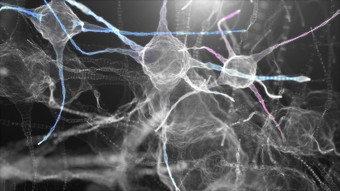 神经元网络神经元细胞插图