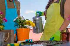 女人浇水堇型花花城市阳台花园城市园艺概念