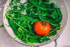 新鲜的色彩斑斓的春天蔬菜沙拉樱桃西红柿甜蜜的辣椒健康的素食主义者午餐
