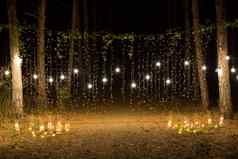 婚礼仪式晚上蜡烛灯松柏科的松森林