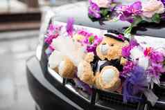可爱的夫妇泰迪熊衣服西装装饰婚礼车