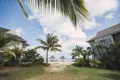 热带海滩太阳便鞋棕榈树