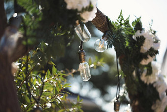 燃烧光灯泡挂树花园装饰婚礼庆祝活动