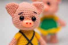 针织小猪玩具孩子象征一年