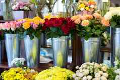 美丽的色彩斑斓的花花商店
