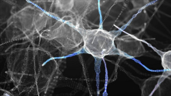 神经元网络神经元细胞<strong>插图</strong>