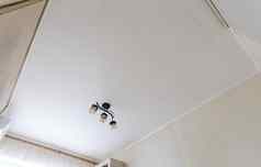 适度的天花板粘天花板瓷砖小吊灯