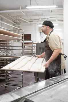 贝克工作工业面包店准备托盘新鲜的面包