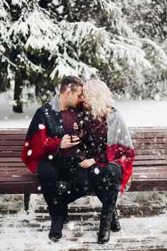 夫妇爱坐着板凳上微笑下雪森林