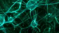 神经元网络神经元细胞插图