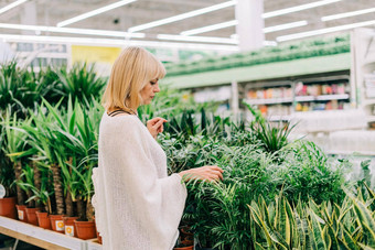 园艺种植购物概念美丽的成熟的成人女人选择<strong>室内</strong>植物锅温室花园中心高级购买花植物市场商店购物中心
