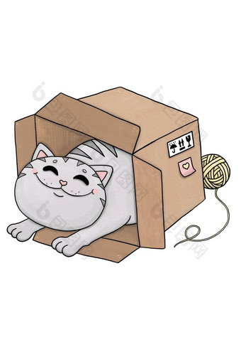 有趣的灰色猫纸板盒子