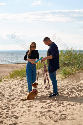 年轻的快乐夫妇玩狗玩具人走海滩宠物