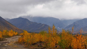 秋天色彩斑斓的苔原背景山山峰多云的天气山景观<strong>可乐</strong>半岛北极希比尼山