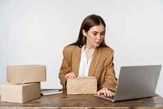 图像女人办公室女企业家小业务移动PC处理客户端订单商店包装盒子订单交付白色背景