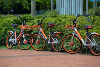 自行车免费的站街新加坡自行车无内胎轮子篮子前面绿色植被背景护理环境