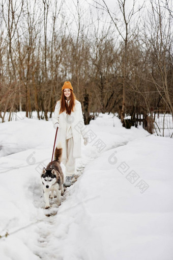 女人雪玩狗在户外友谊冬天假期