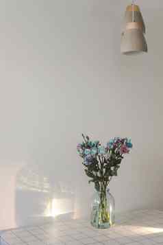 群蓝色的紫色的花Jar表格阳光明媚的房间最小的首页装饰