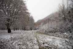 冬天树山覆盖新鲜的雪美丽的景观分支机构树覆盖雪山路高加索地区阿塞拜疆