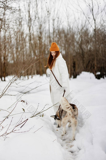 年轻的女人雪玩狗在户外友谊冬天假期