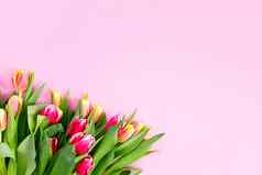 可爱的郁金香群花边境布局春天假期妈妈。一天问候卡