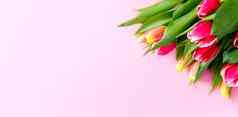 可爱的郁金香群花边境布局春天假期妈妈。一天问候卡