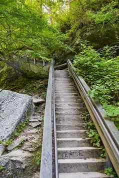 和平新浪微博石头楼梯绿色森林路径