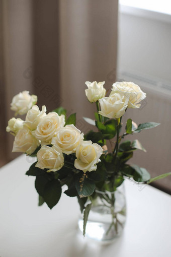 白色玫瑰花束舒适的首页室内花春天背景