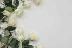 优雅的花框架使白色玫瑰的地方文本白色背景