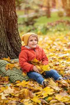 可爱的金发碧眼的婴儿男孩有趣的在户外公园秋天时间坐着叶子树秋天温暖的红色的颜色夹克可爱的他