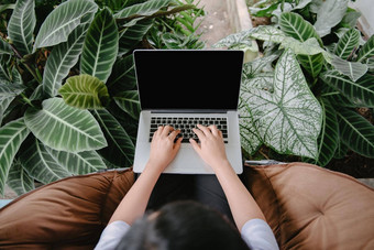 有创意的自由职业者女人移动PC咖啡馆室内植物业务女人在线工作电脑移动PC坐着在室内咖啡馆自然绿色植物放松空间休闲生活方式