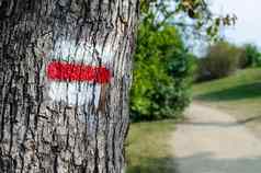红色的旅游标志树标记徒步旅行小径
