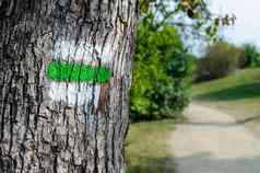 绿色标志树标记徒步旅行小径
