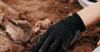 考古发掘犯罪场景人类仍然是地面战争犯罪场景网站质量拍摄人人类仍然是骨头骨架头骨