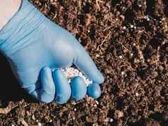 应用程序含氮的化肥土壤早期春天植物护理