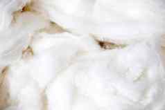 棉花背景白色颜色模式