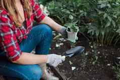 女人花园水浇水植物概念园艺春天生物