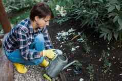 女人花园水浇水植物概念园艺春天生物