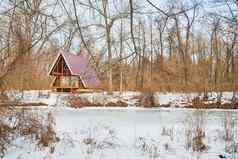 孤独的小屋冻河冬天雪