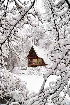 完美的冬天小屋冬天冻湖白雪覆盖的分支机构