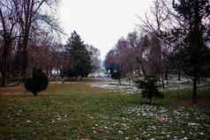 冬天场景cismigiu公园布加勒斯特cismigiu花园位于市中心布加勒斯特罗马尼亚