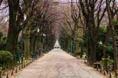 空小巷cismigiu公园布加勒斯特资本城市罗马尼亚