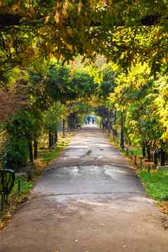 空小巷cismigiu公园布加勒斯特资本城市罗马尼亚