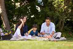 野餐使夏天拍摄家庭享受野餐