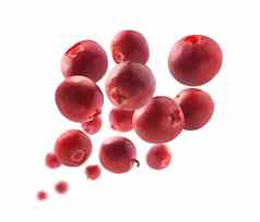 红色的蔓越莓浆果悬浮白色背景