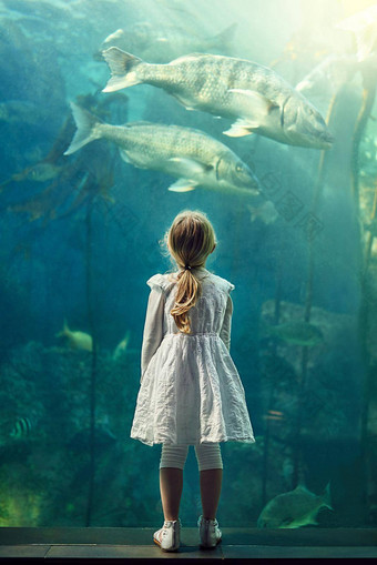 美人鱼游泳海拍摄女孩展览水族馆